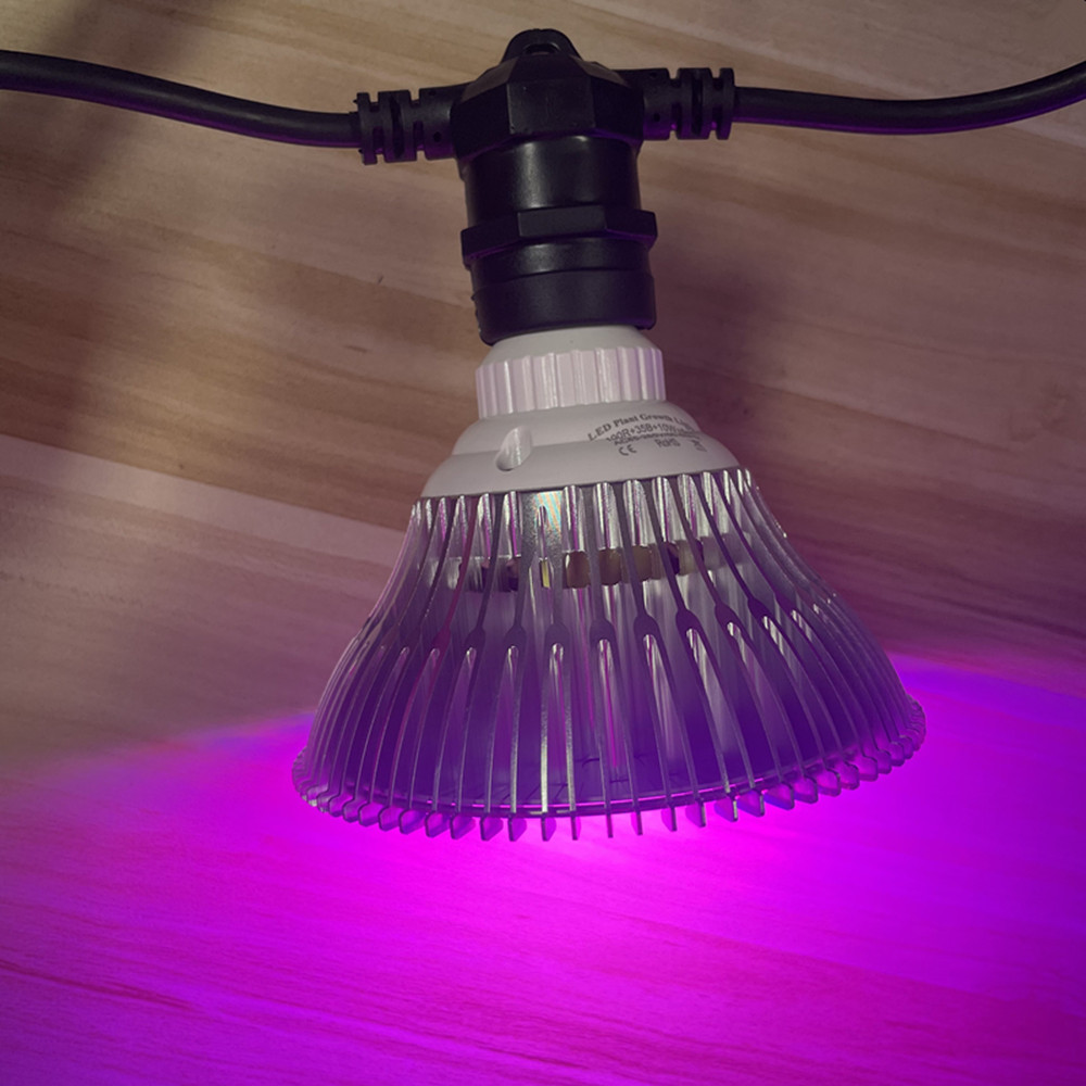 10 m langes LED-Kabel, wasserd – Outdoor Lighting Nearby Bewertung und Preis