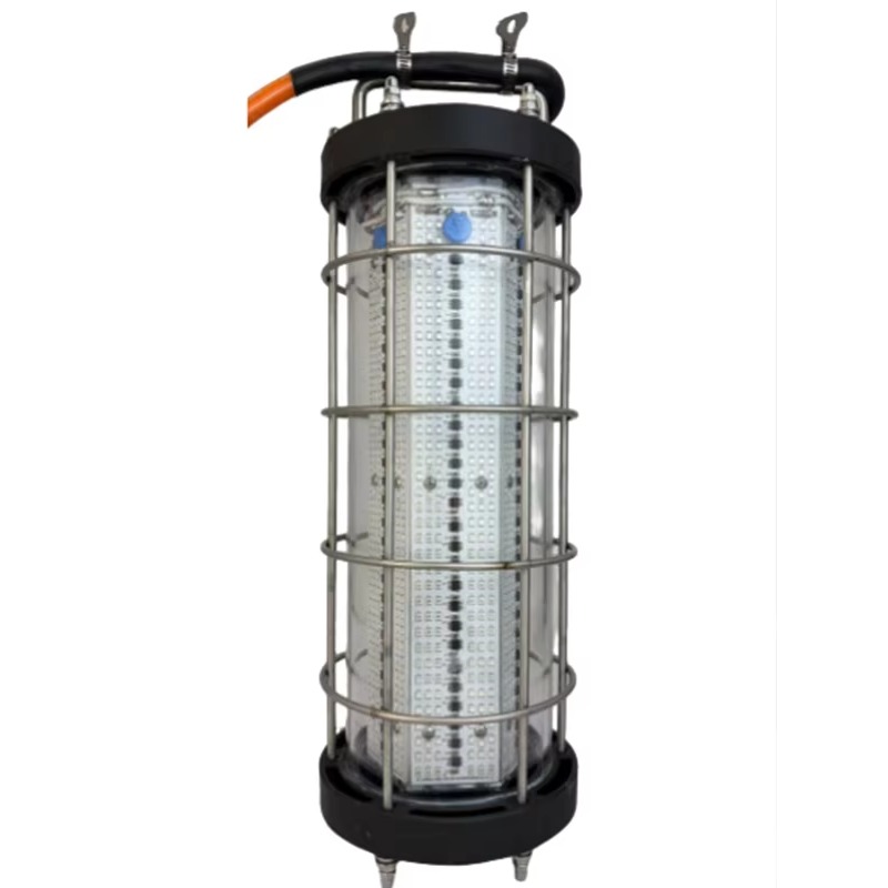LED-Angellampe 1000W Cyan Tint – Outdoor Lighting Manufacturers Bewertung und Preis