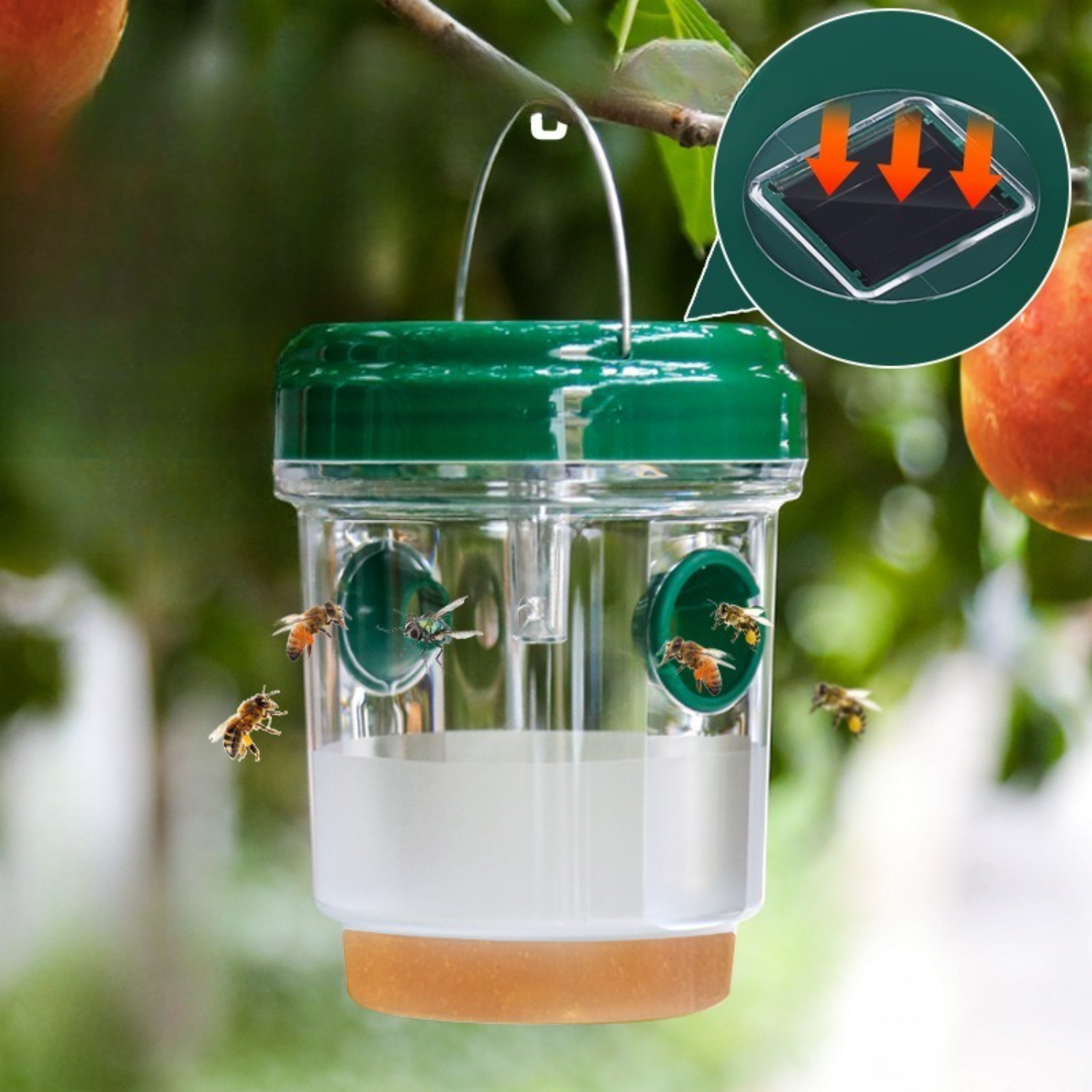 1-6 Stück Solar-Wespenfalle Wa – Outdoor Lighting On House Bewertung und Preis